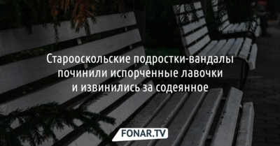 Старооскольские подростки-вандалы починили испорченные лавочки и извинились за содеянное
