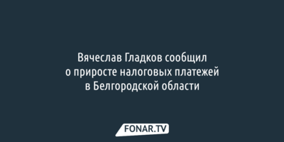 Вячеслав Гладков: белгородцы заплатили почти на 30 процентов больше налогов, чем год назад