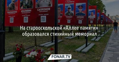 На старооскольской «Аллее памяти» образовался стихийный мемориал