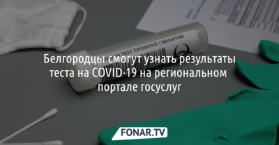 Белгородцы смогут узнать результаты теста на COVID-19 на региональном портале госуслуг