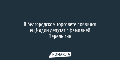 В белгородском горсовете появился ещё один депутат с фамилией Перелыгин