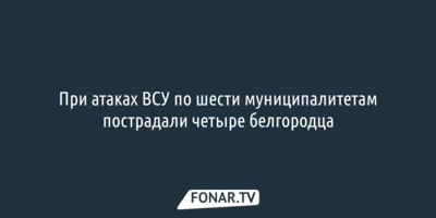 При атаках ВСУ по шести муниципалитетам пострадали четыре белгородца