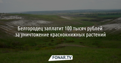 Белгородец заплатит 100 тысяч рублей за уничтожение краснокнижных растений