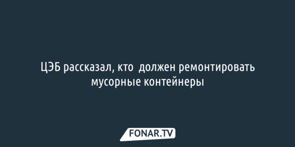 Белгородский ЦЭБ рассказал, кто должен ремонтировать мусорные контейнеры