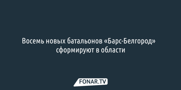 Восемь новых батальонов «Барс-Белгород»​ сформируют в области
