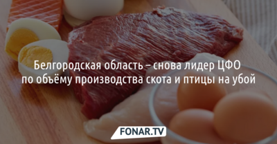 Белгородская область сохранила лидерство в ЦФО по объёму производства скота и птицы на убой
