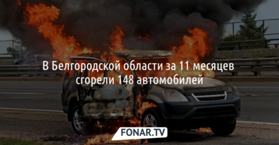 В Белгородской области за 11 месяцев сгорели 148 автомобилей