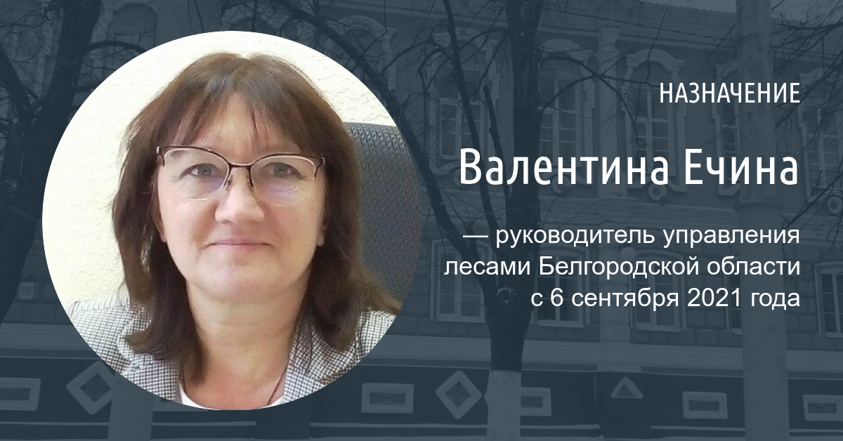 В Белгородской области назначили нового руководителя управления лесами