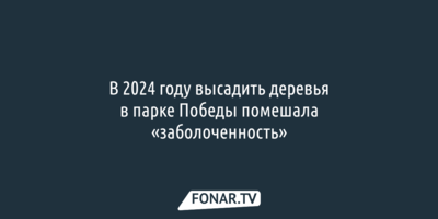 В 2024 году высадить деревья в парке Победы помешала «заболоченность»