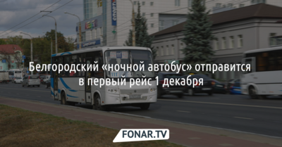Белгородский «ночной автобус» начнёт ездить в первый день зимы