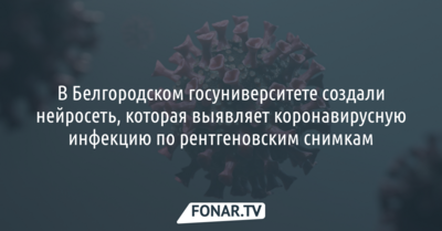 В Белгородском госуниверситете создали нейросеть, которая выявляет коронавирусную инфекцию по рентгеновским снимкам