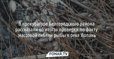В прокуратуре Белгородского района рассказали об итогах проверки по факту массовой гибели рыбы в реке Лопань