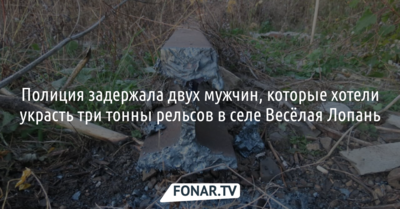 В Белгородском районе полицейские задержали подозреваемых в краже трёх тонн рельсов