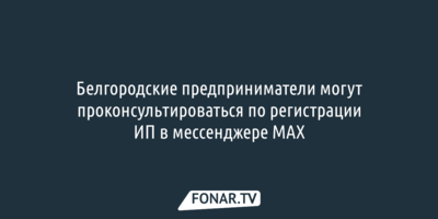 Белгородские предприниматели могут проконсультироваться по регистрации ИП в мессенджере MAX