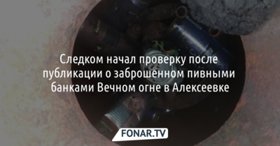 Следком начал проверку после публикации о заброшенном пивными банками Вечном огне в Алексеевке