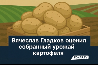 Вячеслав Гладков оценил собранный урожай картофеля