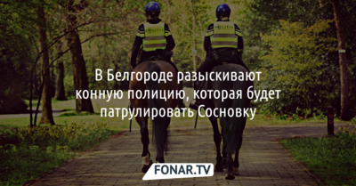 В Белгороде разыскивают конную полицию