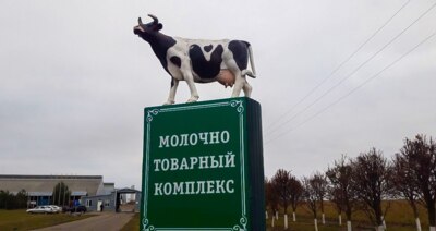 Белгородские энергетики подключили к сетям новый молочный комплекс 