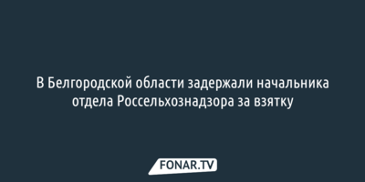 В Белгородской области задержали начальника отдела Россельхознадзора за взятку