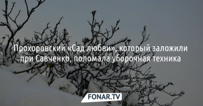Заложенный при Савченко прохоровский «Сад любви» поломала уборочная техника 