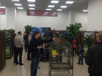 ​​В Белгород впервые приедет контактный зоопарк «Планета обезьян»*