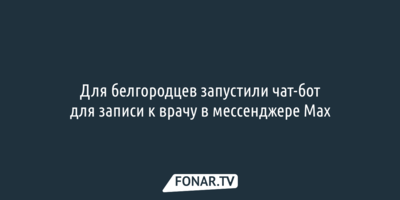 Для белгородцев запустили чат-бот для записи к врачу в мессенджере Max
