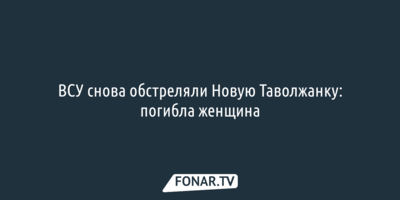 ВСУ снова обстреляли Новую Таволжанку: погибла женщина