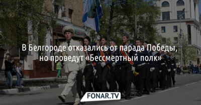 В Белгороде отказались от парада Победы, но проведут «Бессмертный полк»