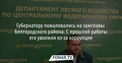 Белгородскому губернатору пожаловались на чиновника, которого уволили с прошлой работы из-за коррупции