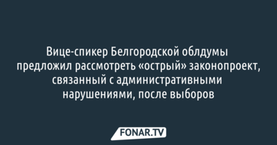 Вице-спикер Белгородской облдумы предложил рассмотреть «острый» законопроект после выборов