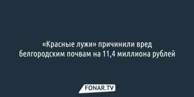 «Красные лужи» причинили вред белгородским почвам на 11,4 миллиона рублей