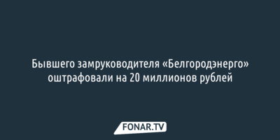 Бывшего замруководителя «Белгородэнерго» оштрафовали на 20 миллионов рублей