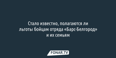 Стало известно, полагаются ли льготы бойцам отряда «Барс-Белгород» и их семьям