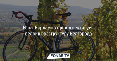 Илья Варламов проинспектирует велоинфраструктуру Белгорода