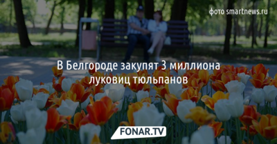 В Белгороде закупят 3 миллиона луковиц тюльпанов 