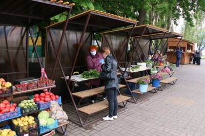 «​Торговать своими продуктами может любой садовод и огородник». Как в Белгородской области сначала дали доступ на рынки фермерам, а теперь превращают стихийные рынки в социальные ярмарки