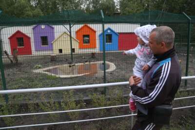 В Белгородском зоопарке появятся жирафы