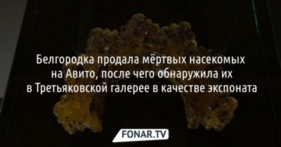 Белгородка продала мёртвых насекомых в интернете, после чего обнаружила их в Третьяковской галерее