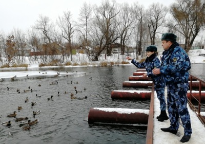 Сотрудники старооскольского СИЗО-2 пересчитали водоплавающих птиц на набережной