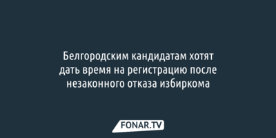 Белгородским кандидатам хотят дать время на регистрацию после незаконного отказа избиркома