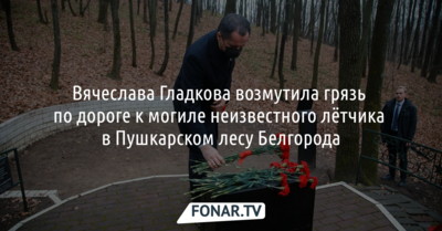 Вячеслава Гладкова возмутила грязь по дороге к могиле неизвестного лётчика в Пушкарском лесу