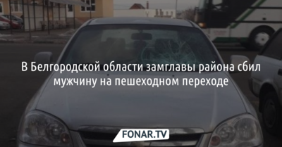 В Белгородской области замглавы района сбил мужчину на пешеходном переходе