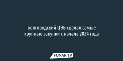 Белгородский ЦЭБ сделал самые крупные закупки с начала 2024 года