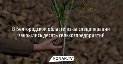 В Белгородской области из-за спецоперации закрылись десять сельхозпредприятий