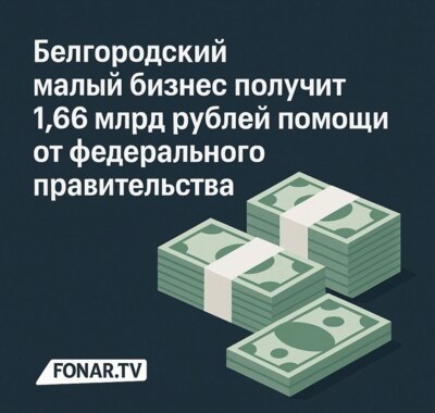 ​Белгородский малый бизнес получит 1,66 миллиарда рублей помощи от федерального правительства