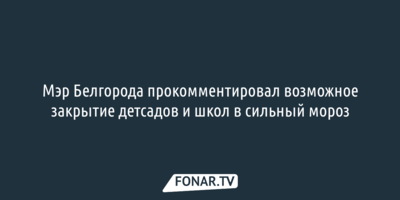 Мэр Белгорода прокомментировал возможное закрытие детсадов и школ в сильный мороз 