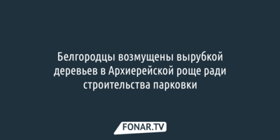 Белгородцы возмущены вырубкой деревьев в Архиерейской роще ради строительства парковки 