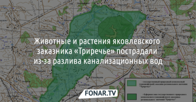 Яковлевский заказник «Триречье» пострадал из-за разлива канализационных вод