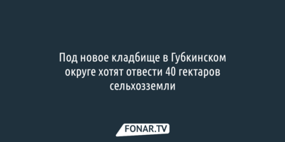 Под новое кладбище в Губкинском округе отведут 40 гектаров сельхозземель