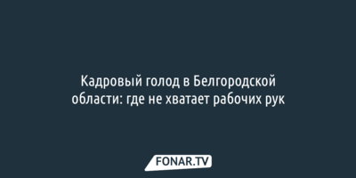 Кадровый голод в Белгородской области: где не хватает рабочих рук
